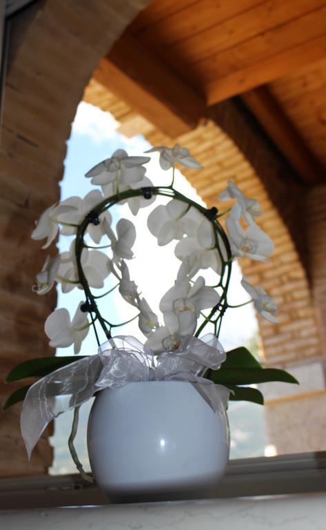 Giardino Degli Ulivi Apartamento Caprino Veronese Exterior foto